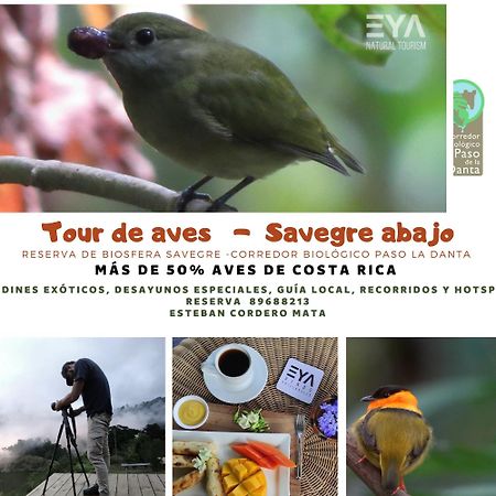 Eya Ecolodge San Isidro De El General Zewnętrze zdjęcie