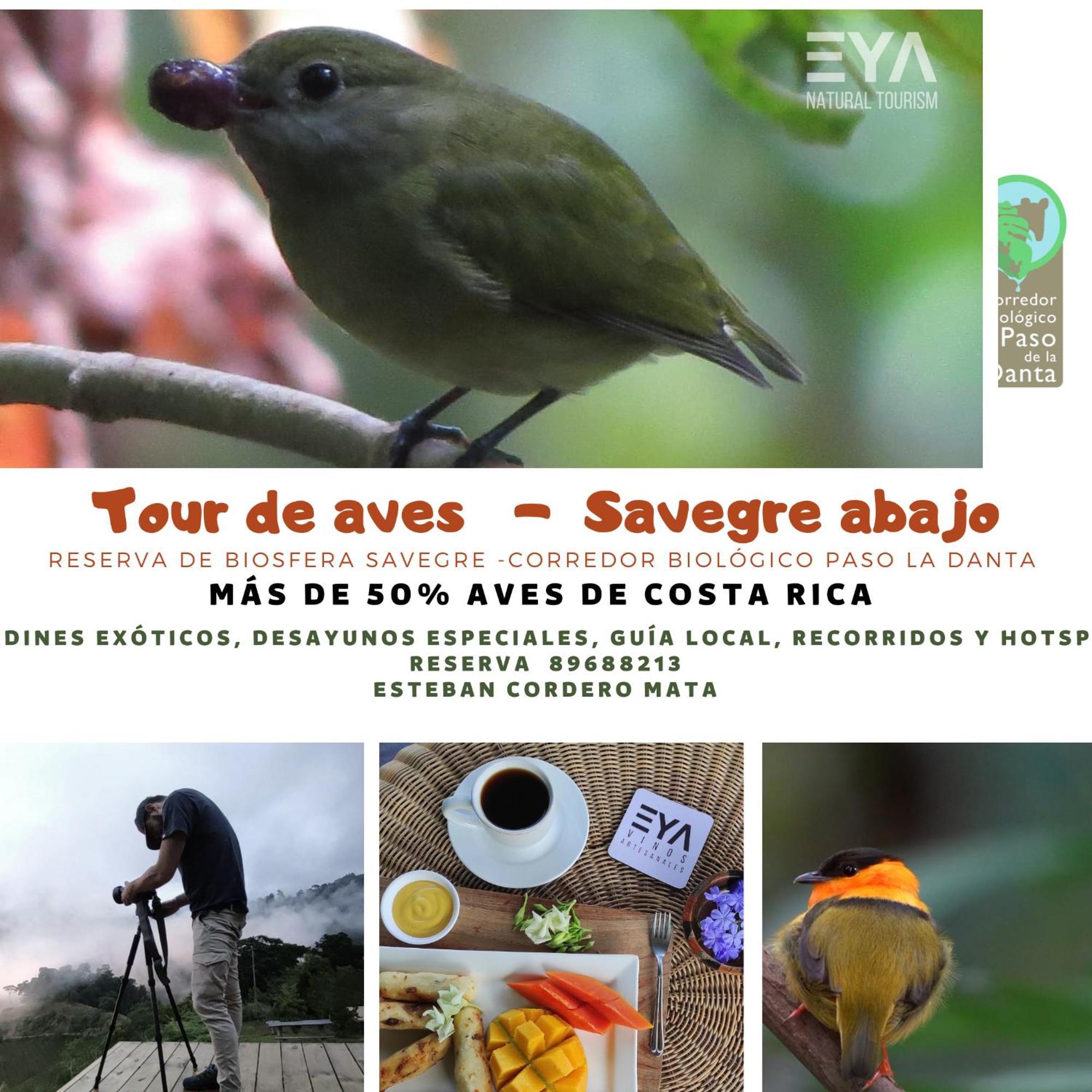 Eya Ecolodge San Isidro De El General Zewnętrze zdjęcie